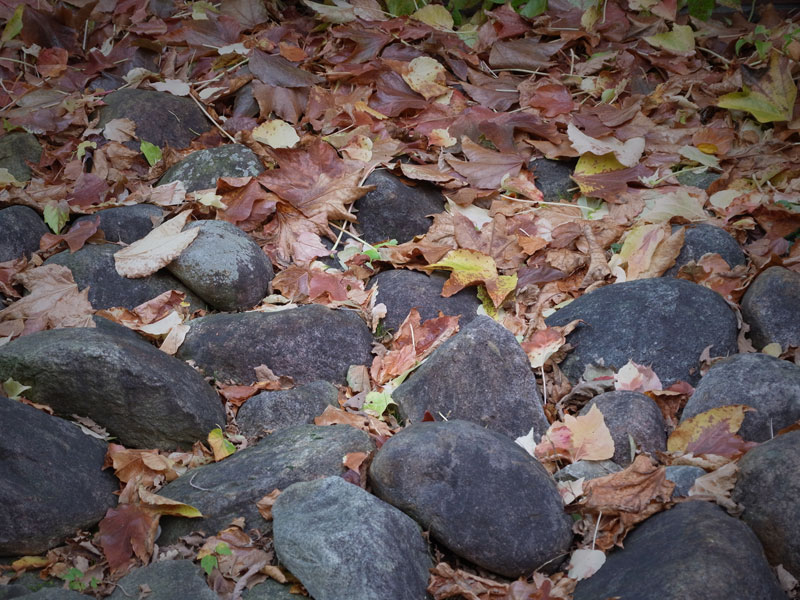 Stones and dry leaves