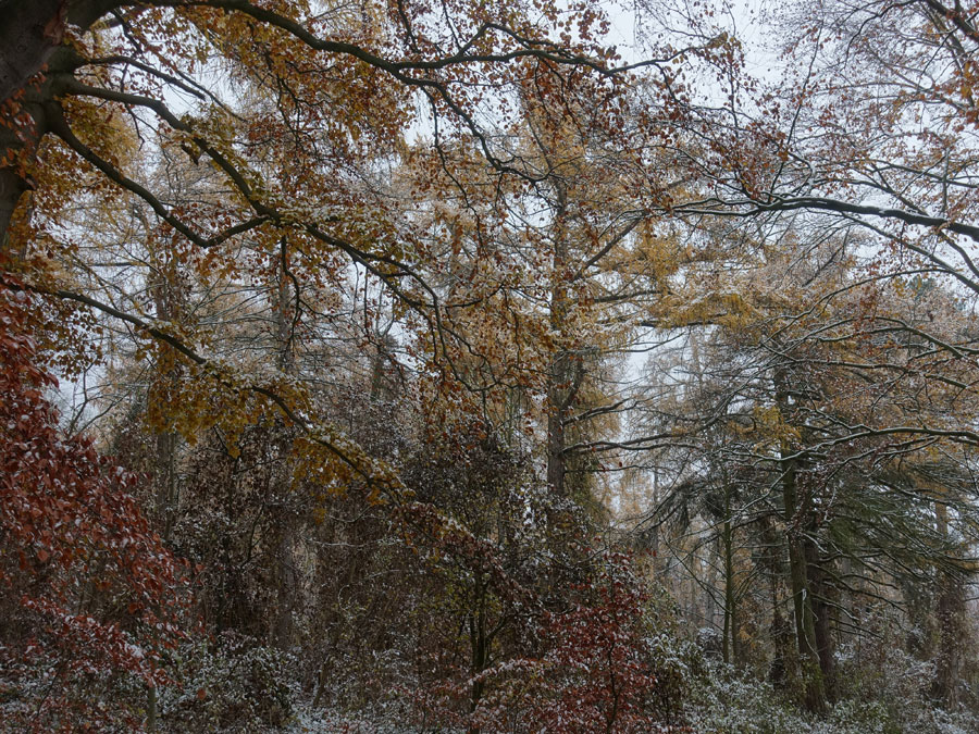 Winter