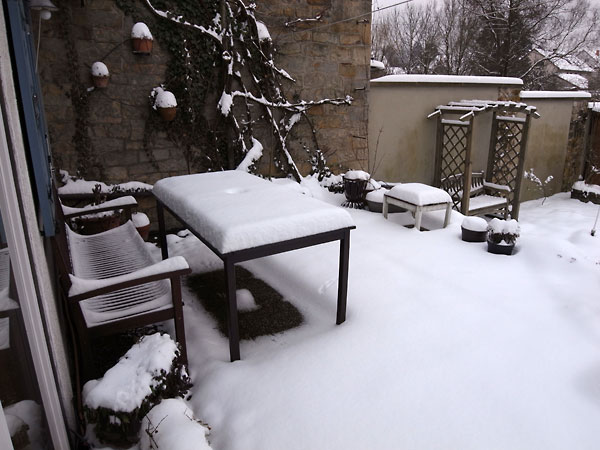 Winter