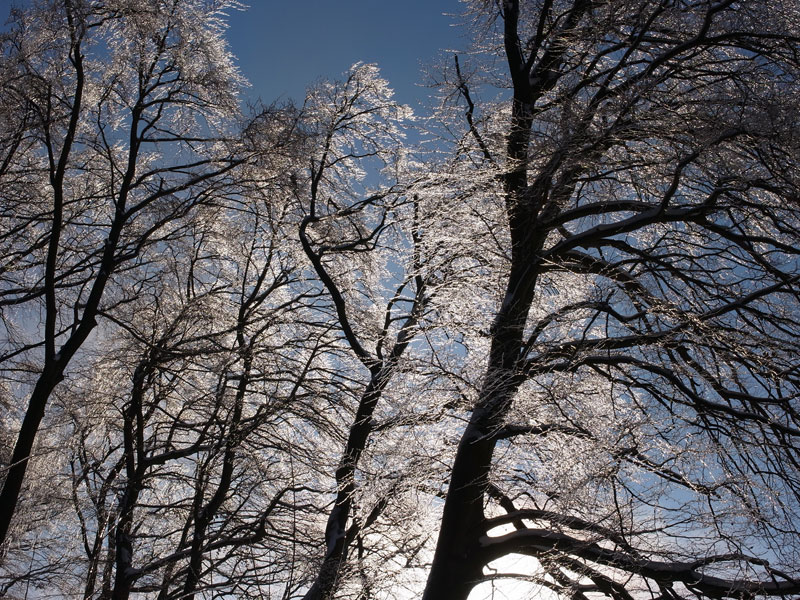 Winter